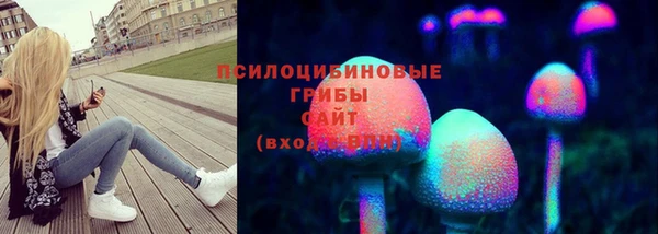 дурь Елабуга