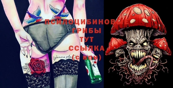 дурь Елабуга