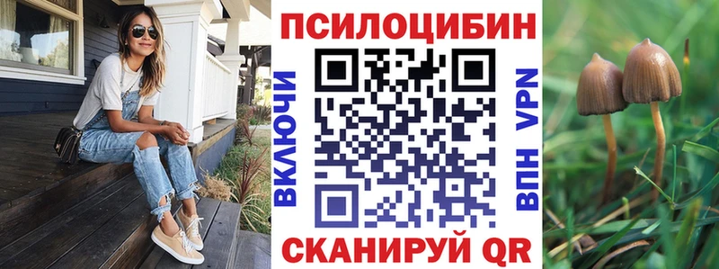 Галлюциногенные грибы Psilocybine cubensis  Купить  Лесосибирск 