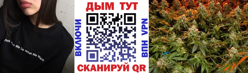 Бошки Шишки планчик  Купить  Лесосибирск 
